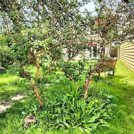 Open Plan 3 Bedrooms Cornish Stone House * St Austell